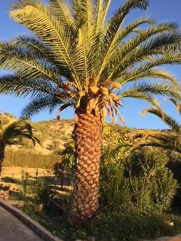 Hacienda La Toscana Priego De Cordoba Spain